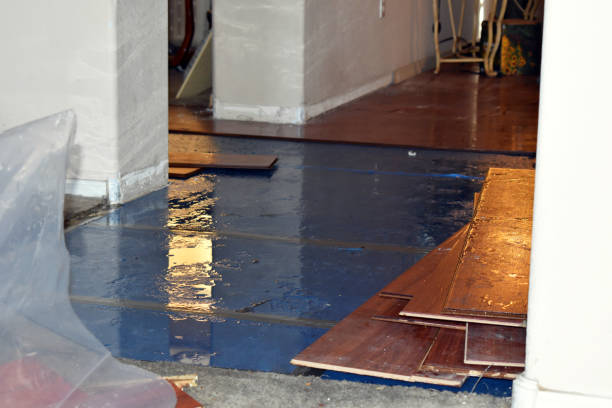 Professional Water Damage Restoration technician working in Slaton, TX